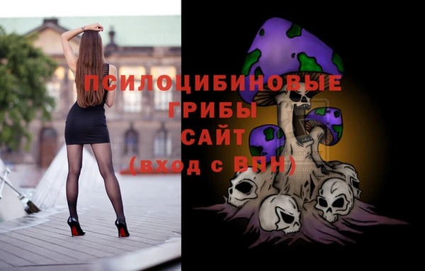 гидра Яровое