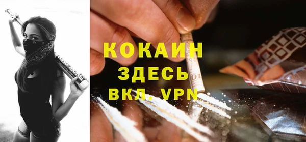 стаф Абаза