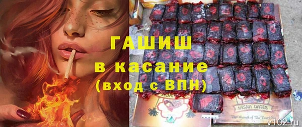 гидра Яровое