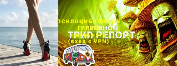 стаф Абаза