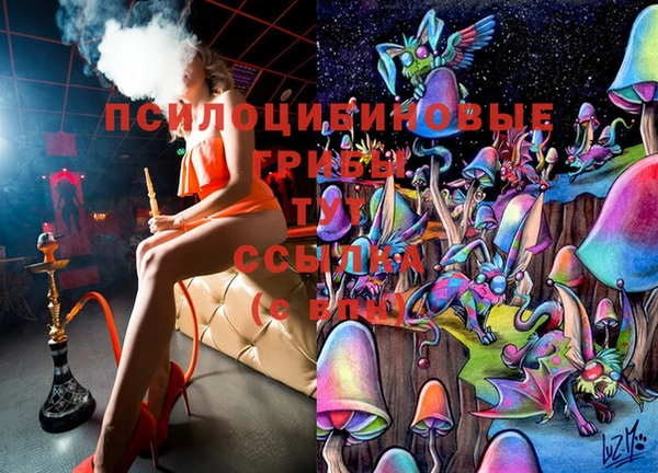 spice Абинск