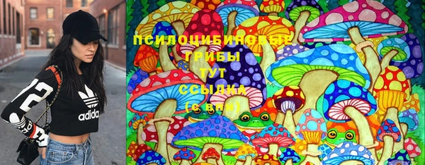 тгк Абдулино