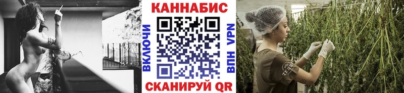 как найти   Калачинск  Бошки марихуана Ganja 
